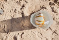 Прямо сверху вид двух тропических рыб, плавающих в пластиковой бутылке на песке . — стоковое фото