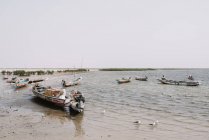 Goree, Senegal- December 6, 2017: Landscape of seagulls walking among moored boats on shore of river. — Stock Photo