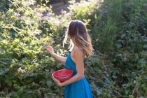 Side view of anonymous girl holding bowl and collecting berries in summer garden. — Stock Photo