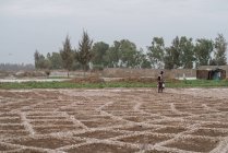 Rear view of man watering soil on field . — Stock Photo