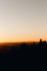 Silhouette del paracadutista sopra i boschi all'ora del tramonto — Foto stock