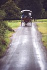 Vista trasera del transporte a caballo por carretera rural en el Parque Nacional de Killarney, Irlanda . - foto de stock