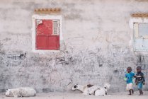 Yoff, Senegal- Dezembro 6, 2017: Dois meninos com bola andando na rua perto de parede de concreto sujo e três cabras . — Fotografia de Stock