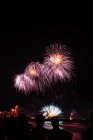 Fuochi d'artificio schizza nel cielo notturno — Foto stock