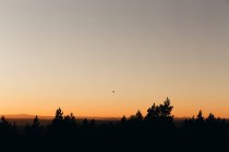 Landscape of sunset time countryside with landing silhouette of parachutist — Stock Photo