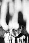 Goree, senegal- 6. Dezember 2017: flaches Porträt eines Mädchens, das unter einer Strohdachkante steht und in die Kamera blickt — Stockfoto