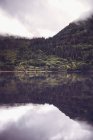 Reflexión de la colina verde brumosa en el agua tranquila del lago - foto de stock