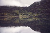 Calm water of lake reflecting misty green hill in Killarney National Park, Ireland. — Stock Photo