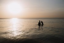 Unrecognizable man standing in sea at sunset and washing horse. — Stock Photo