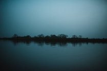 Paisaje de árboles negros siluetas en la orilla del río en el crepúsculo oscuro . - foto de stock