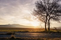 Paesaggio idilliaco di campagna al tramonto — Foto stock