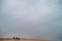 Yoff, Senegal- December 6, 2017: Three people riding camels in desert on dull day. — Stock Photo