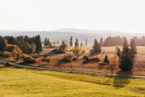 Picturesque landscape of autumnal trees at countryside in morning sunlight. — Stock Photo