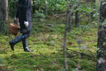 Erntefrau mit Korb sammelt Pilze im Wald — Stockfoto