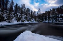 Vista panorámica al río que fluye en el bosque de invierno en las montañas . - foto de stock