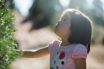 Side view of little girl standing at big fir tree and looking up in sunny forest. — Stock Photo