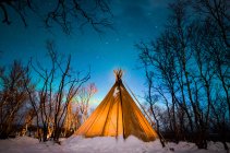 Scenic view of tent in winter forest at night — Stock Photo