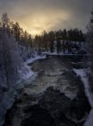 Low angle view to winter river flowing in winter forest in evening. — Stock Photo