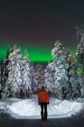 Rückansicht eines Touristen, der nachts mit Polarlicht im Winterwald auf der Straße steht. — Stockfoto