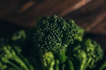Close up view of fresh bimi broccoli flower — Stock Photo