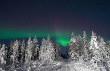 Landscape of cold winter forest and snowy road at night with Polar light. — Stock Photo