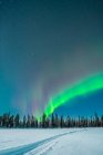Зимние леса и полярный свет в небе — стоковое фото