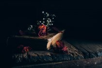 Natura morta di fiori secchi su vecchio libro a tavolo di legno rurale — Foto stock