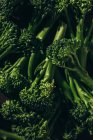 Vista da vicino di mucchio di verdure fresche di bimi broccoli — Foto stock