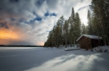 Будинок в зимовому лісі сцена над хмарним небом — стокове фото
