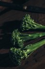 Vista da vicino delle verdure fresche di bimi broccoli in fila sul tavolo di legno . — Foto stock