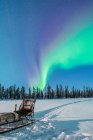 Sled in winter forest on background of northern lights in sky — Stock Photo