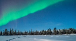 Bois du nord la nuit sous un ciel clair avec des aurores boréales — Photo de stock
