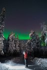 Вид сзади человека, стоящего на лесной зимней дороге на фоне северного света в небе — стоковое фото