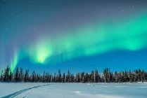 Blick auf winterliche Frostwälder und wolkenlosen Himmel unter Polarlicht. — Stockfoto