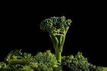 Vista da vicino di verdure fresche di bimi broccoli su sfondo nero — Foto stock