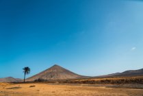 Landschaft tropischer Wüste mit trockenem Berg und Palme — Stockfoto