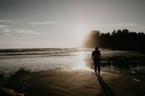 Silueta de hombre sin camisa caminando en la playa - foto de stock
