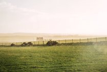 Vista para o campo verde nebuloso na fazenda no campo — Fotografia de Stock