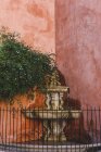 Ornate fountain at corner of pink ivy embraced walls — Stock Photo