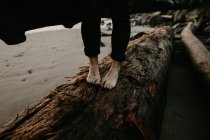 Sección baja de la persona caminando en el tronco en la playa - foto de stock