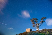 Vista de ángulo alto al árbol que crece en la colina en el fondo del cielo nublado estrellado - foto de stock