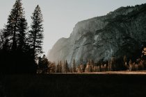 Вид на сонячний гірський луг і ліс — стокове фото