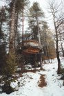 Vista de ângulo alto de casa em madeiras em floresta de inverno — Fotografia de Stock