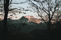 Vista attraverso gli alberi per belle montagne illuminate dal sole — Foto stock
