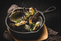 Close up view of clam stew with white wine sauce in rural pan — Stock Photo