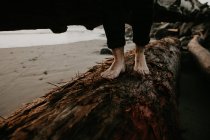Baixo ângulo de visão do homem descalço andando e equilibrando no tronco na costa . — Fotografia de Stock