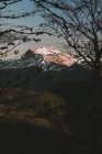 Vista a través de los árboles a las montañas a la luz del sol - foto de stock