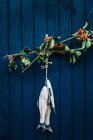 Zweige mit Beeren und Fischdekoration hängen an blauer Holztür. — Stockfoto