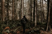 Visão traseira do homem caminhando na floresta de outono e olhando para o lado — Fotografia de Stock