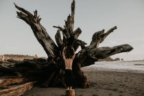 Visão traseira do homem posando no tronco na costa — Fotografia de Stock